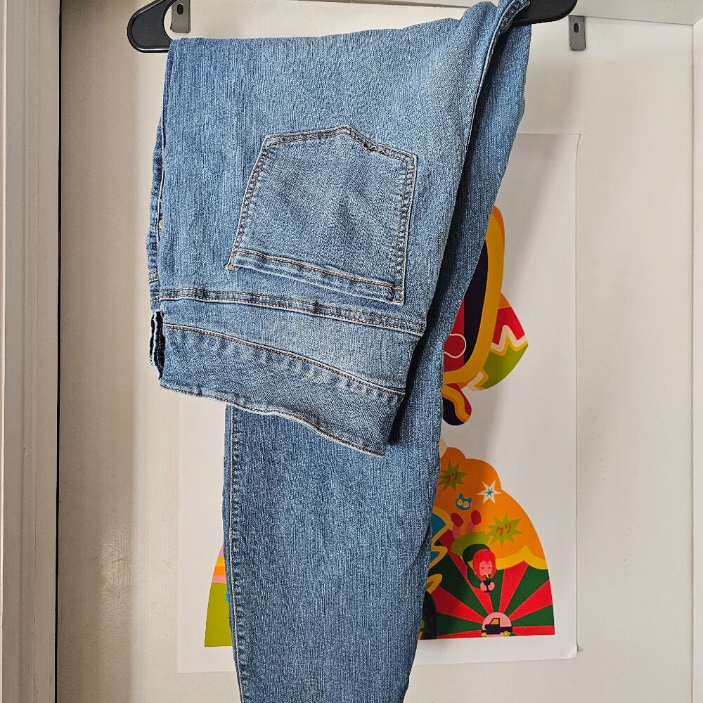 Torrid Skinny Jeggings